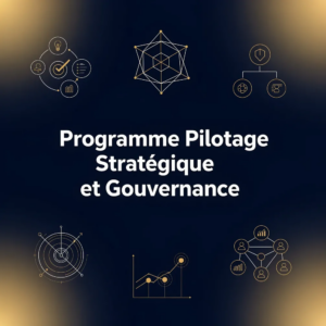 Programme Pilotage Stratégique et Gouvernance
