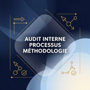 Audit Interne Processus Méthodologie